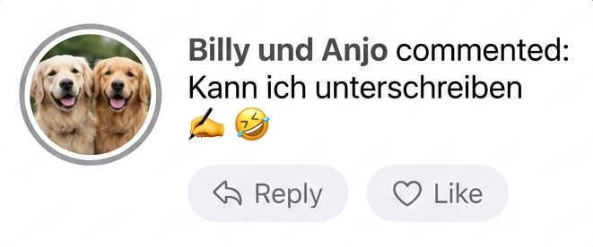 Comment 3